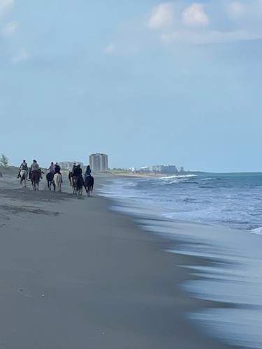 people horseback riding on the beach