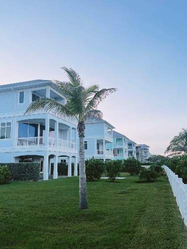 Row of blue houses